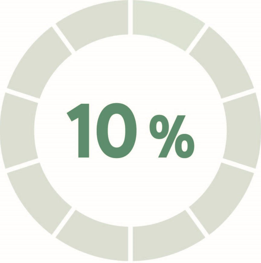 10% Progreso