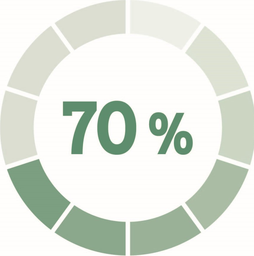 70% Progreso